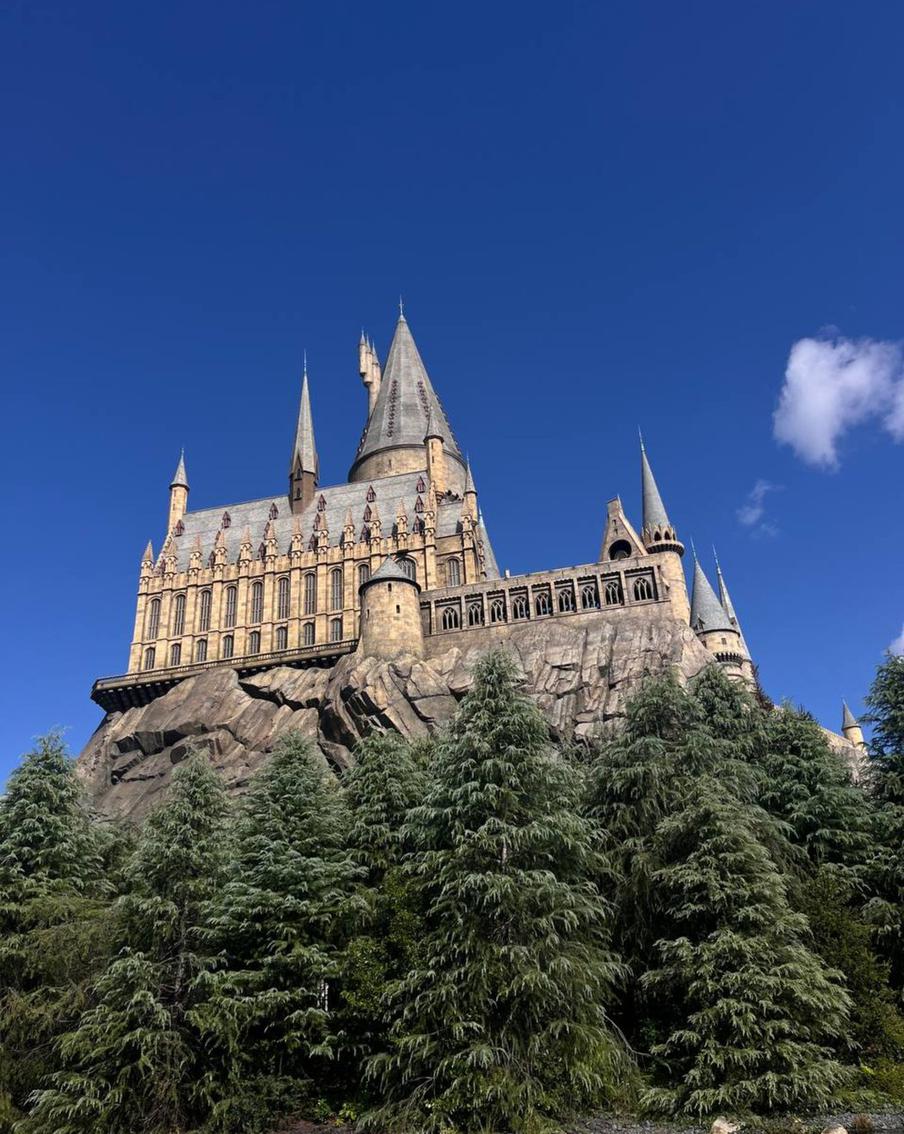 Декорации Хогвартса.