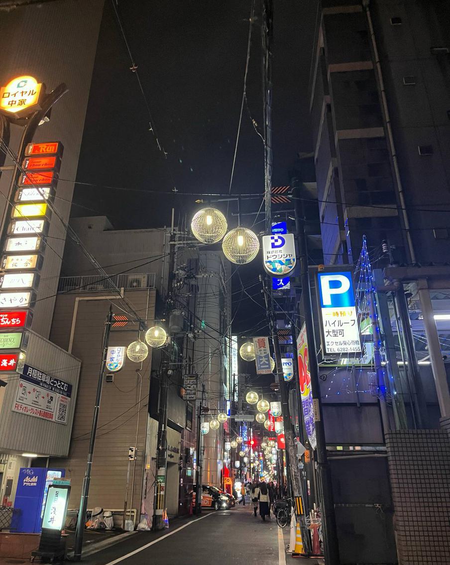 Район Дотонбори в деталях.