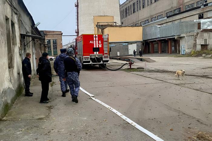 В Курской области сообщили о попытке ВСУ атаковать ТЭЦ в столице региона