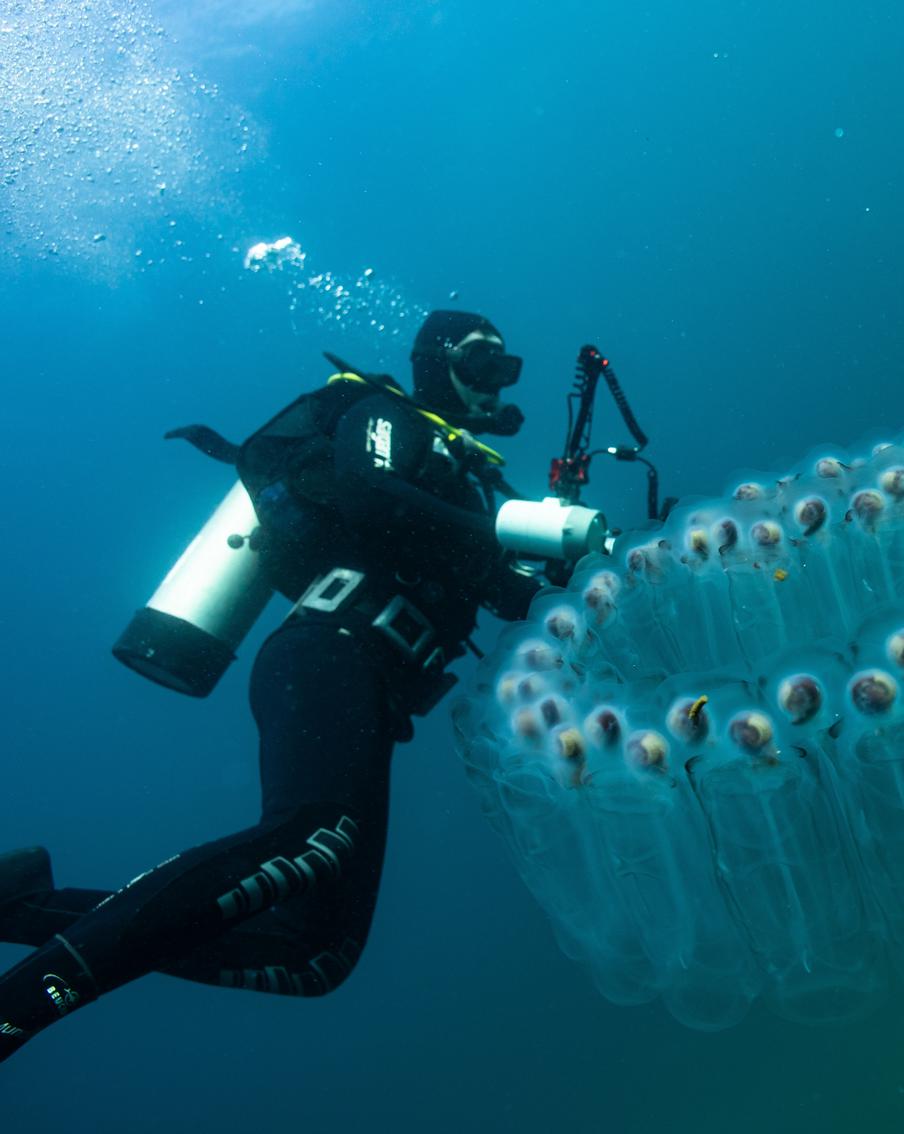 Российские туристы пострадали от укусов морских животных во время отдыха на Филиппинах