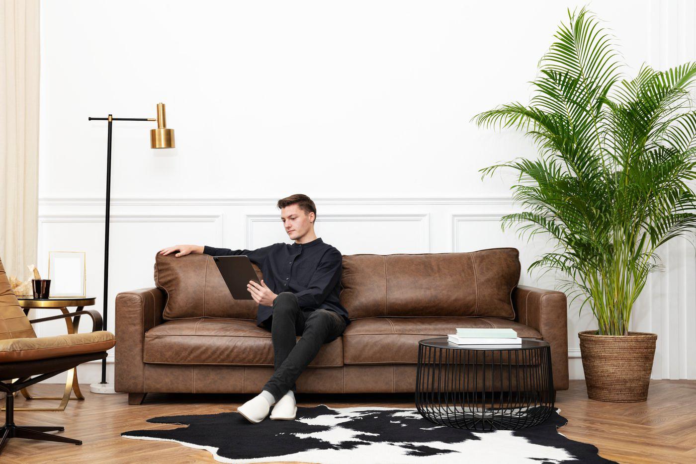 Леопард, зебра, рептилия: гид по анималистичным принтам в современном интерьере