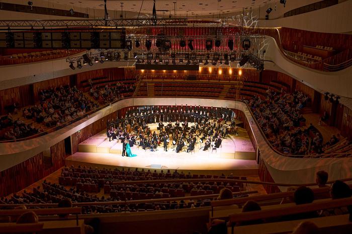 Уникальную программу "Древняя магия органа" представят в зале "Зарядье"