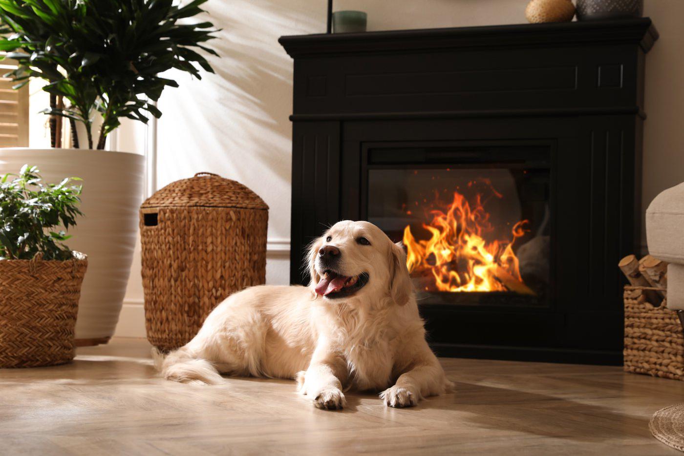 Электрокамин – стильный способ добавить интерьеру тепла.