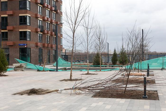 До 17 метров в секунду: москвичей предупредили о сильном ветре