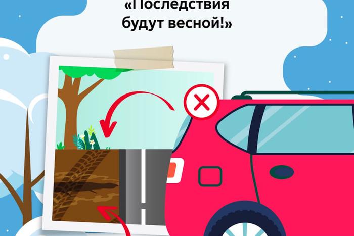 Максим Ликсутов рассказал о недопустимости парковки на зелёных насаждениях в зимний период