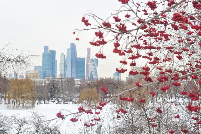 Стало известно, когда жителям Москвы стоит ожидать прихода в город настоящей зимы