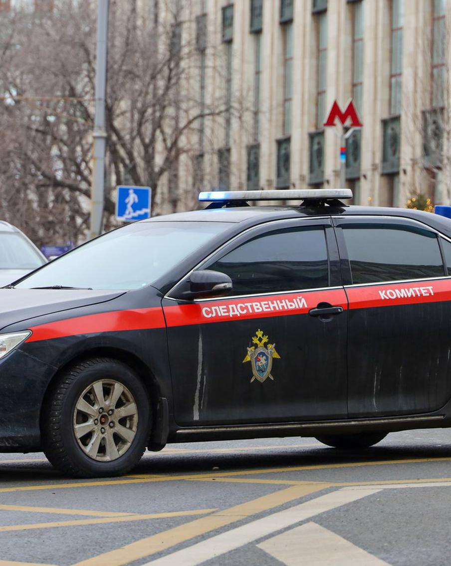 Мать, подозреваемая в убийстве своего сына в Балашихе, написала явку с повинной. 17 ноября следственное управление Следственного комитета Российской Федерации по Московской области сообщило о задержании женщины, подозреваемой в убийстве своего шестилетнего сына. В ходе следствия женщина признала свою вину в совершении преступления, однако не смогла объяснить мотивы своего поступка