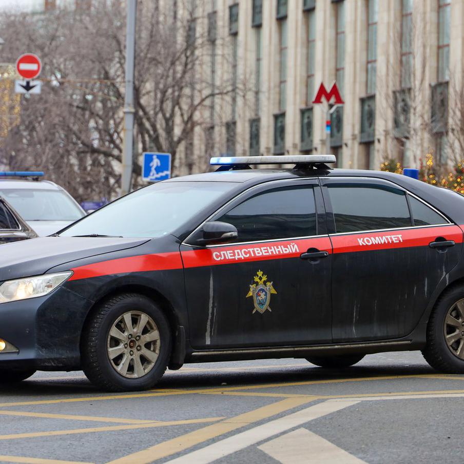 Мать, подозреваемая в убийстве своего сына в Балашихе, написала явку с повинной. 17 ноября следственное управление Следственного комитета Российской Федерации по Московской области сообщило о задержании женщины, подозреваемой в убийстве своего шестилетнего сына. В ходе следствия женщина признала свою вину в совершении преступления, однако не смогла объяснить мотивы своего поступка