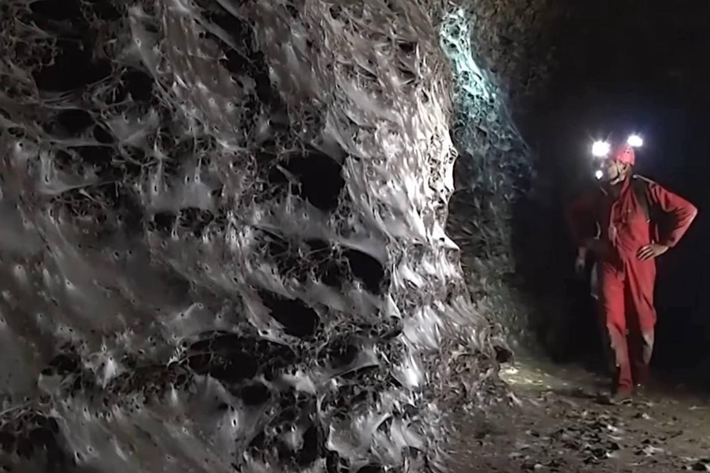 Площадь паутины сравнима с просторной двухкомнатой квартирой.