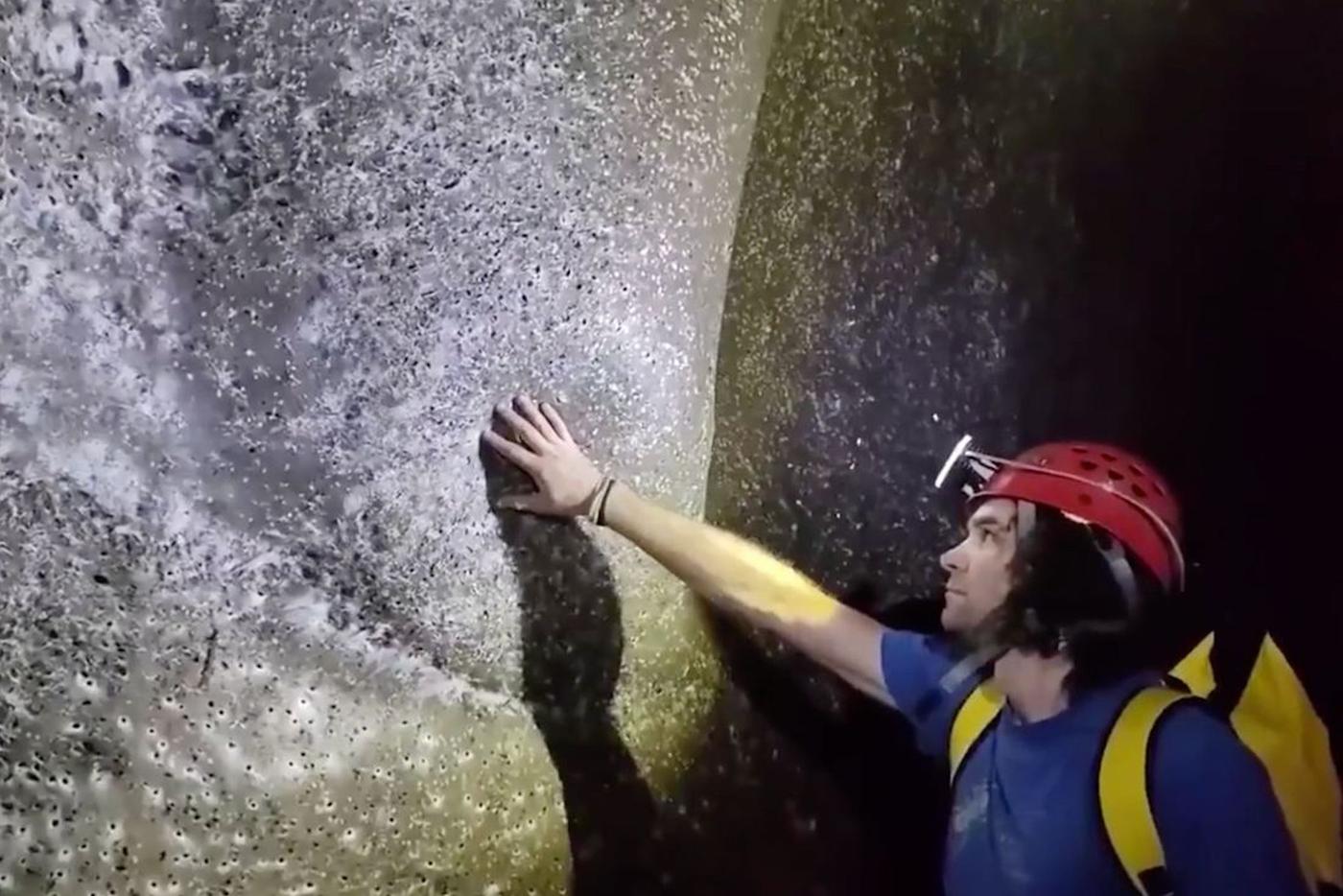 По словам Иштвана (на фото), паутина "как живая". Поэтому её очень хотелось потрогать без перчатки, голой рукой.