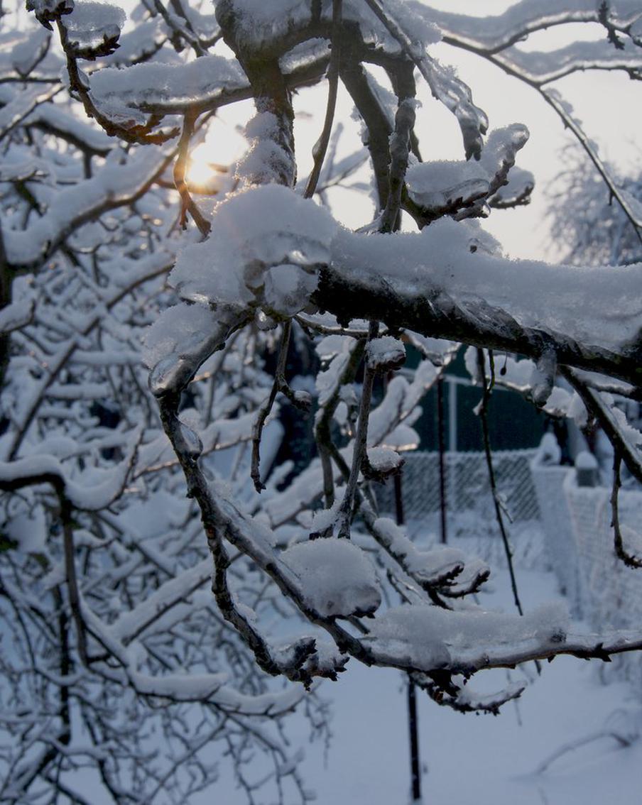 Жителей столичного региона предупредили о гололедице и мокром снеге. В ближайшие сутки в столичном регионе ожидаются мокрый снег и гололедица. Отмечается, что выпадение снега продлится с вечера 22 ноября по утро 23 ноября
