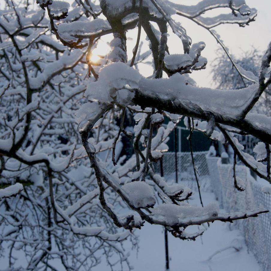 Жителей столичного региона предупредили о гололедице и мокром снеге. В ближайшие сутки в столичном регионе ожидаются мокрый снег и гололедица. Отмечается, что выпадение снега продлится с вечера 22 ноября по утро 23 ноября