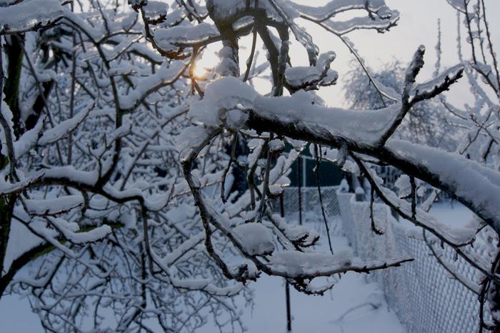 Жителей Подмосковья предупредили о резком ухудшении погоды в регионе вечером в субботу