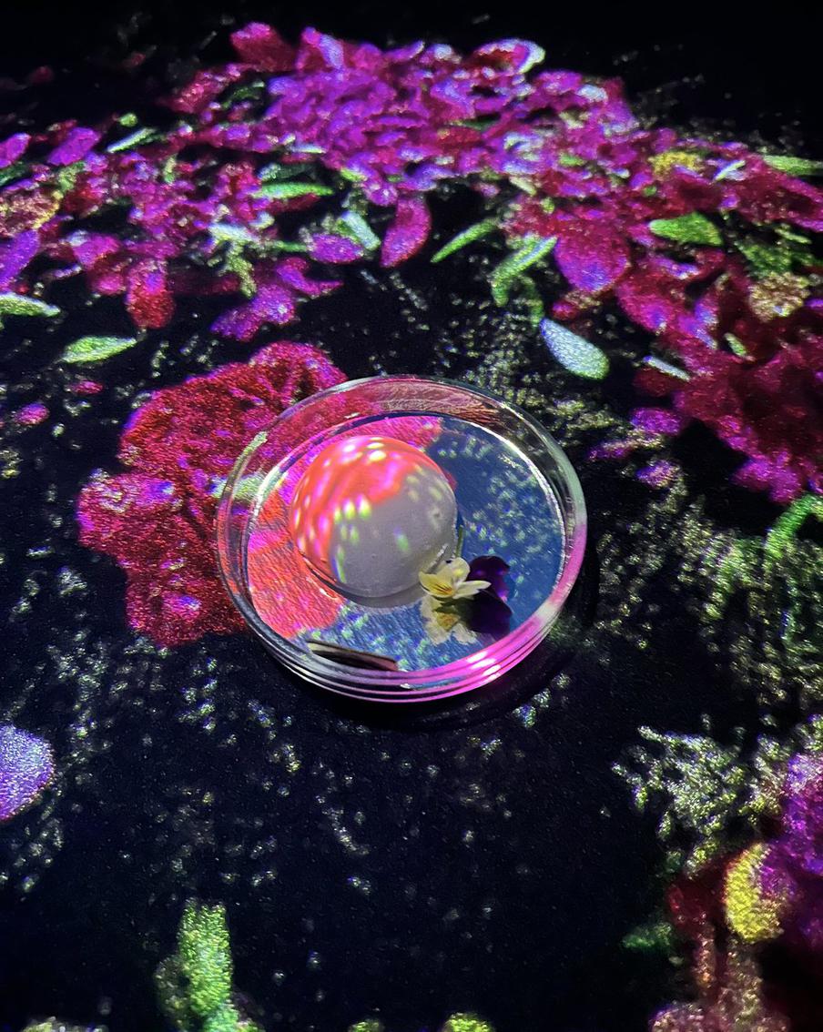 Подача десерта Моти.