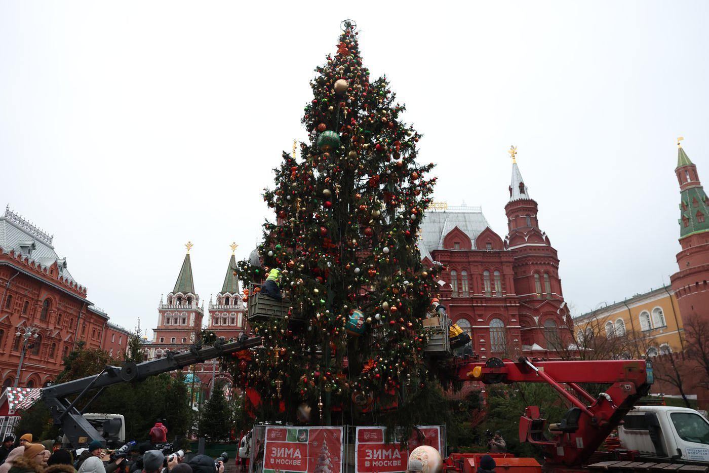 Скоро обратная, ещё не наряженная часть ели тоже станет такой блестящей.