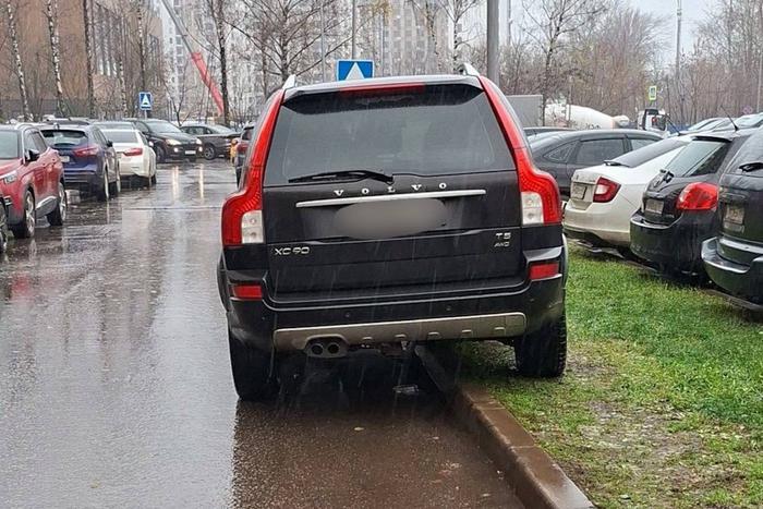 Максим Ликсутов напомнил о штрафах за парковку на зелёных насаждениях