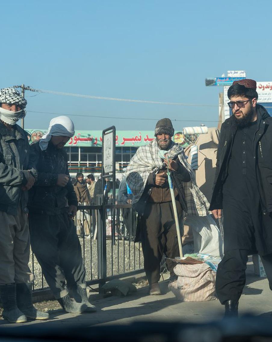 Афганистан предложил России трудовых мигрантов для работы в агросекторе