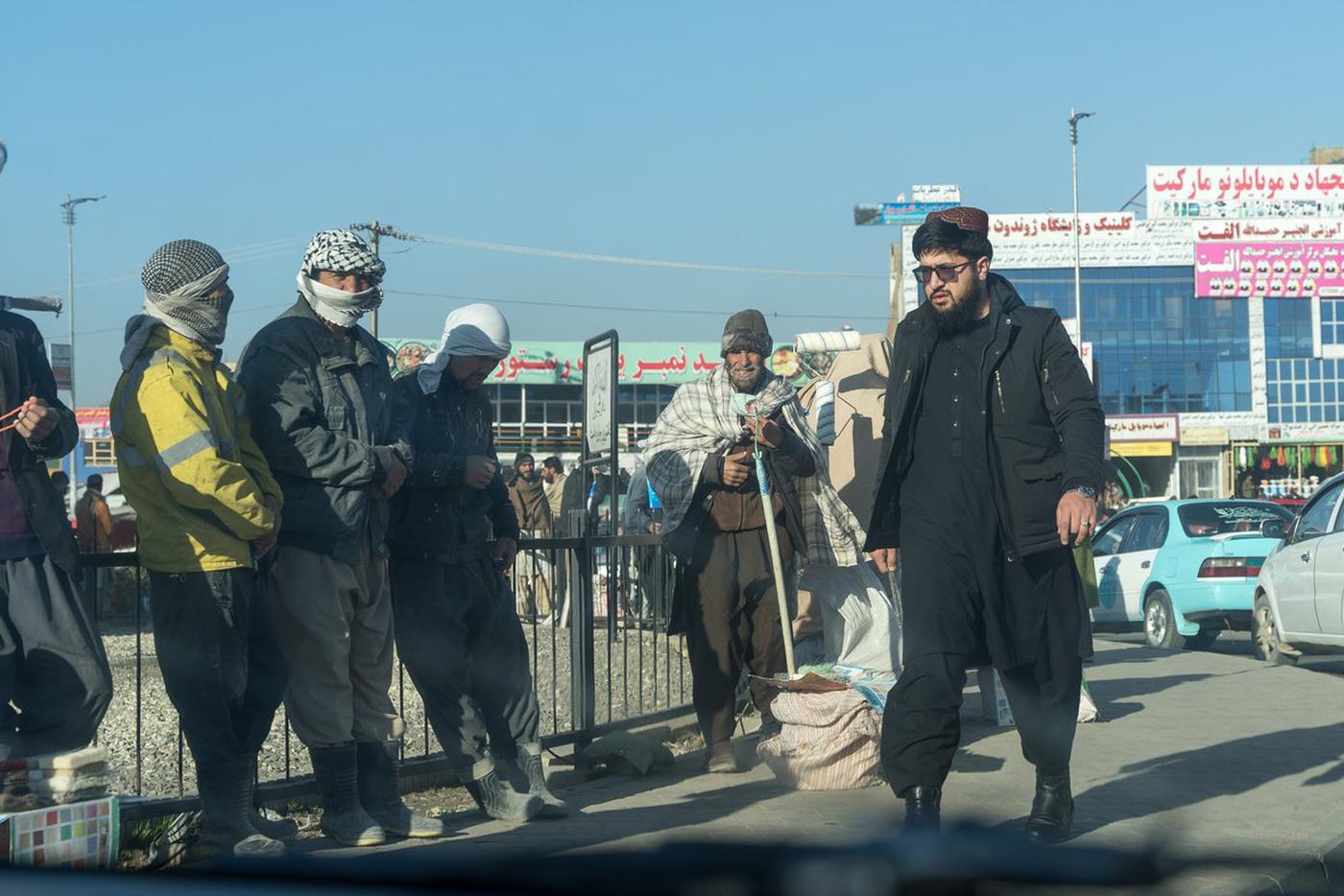 Афганистан предложил России трудовых мигрантов для работы в агросекторе