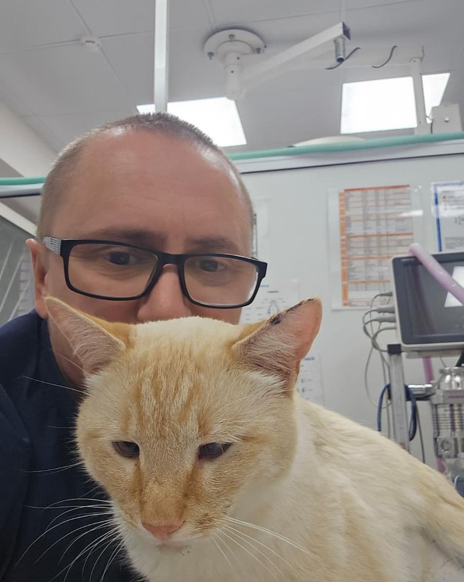 Московский ветеринар спас кота с семью огнестрельными ранениями