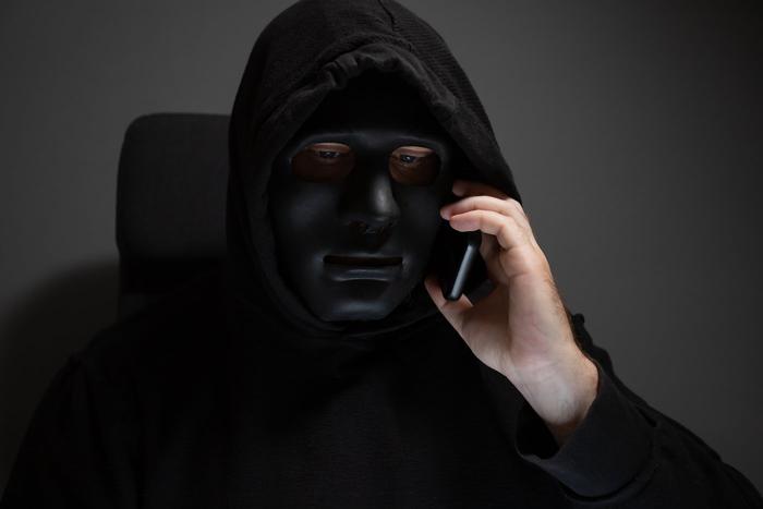 Дочь мурманского губернатора стала жертвой мошенников