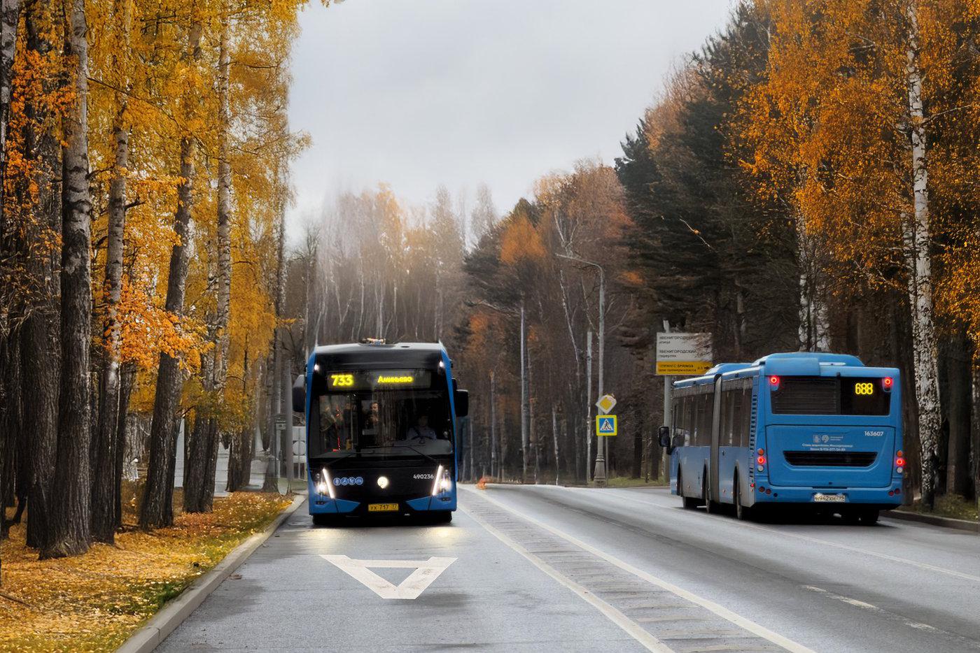 Новые выделенные полосы начнут работать в Москве с 20 декабря