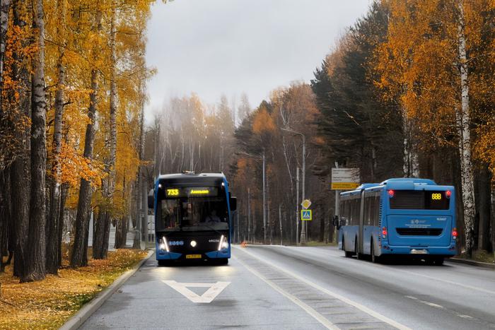Новые выделенные полосы начнут работать в Москве с 20 декабря