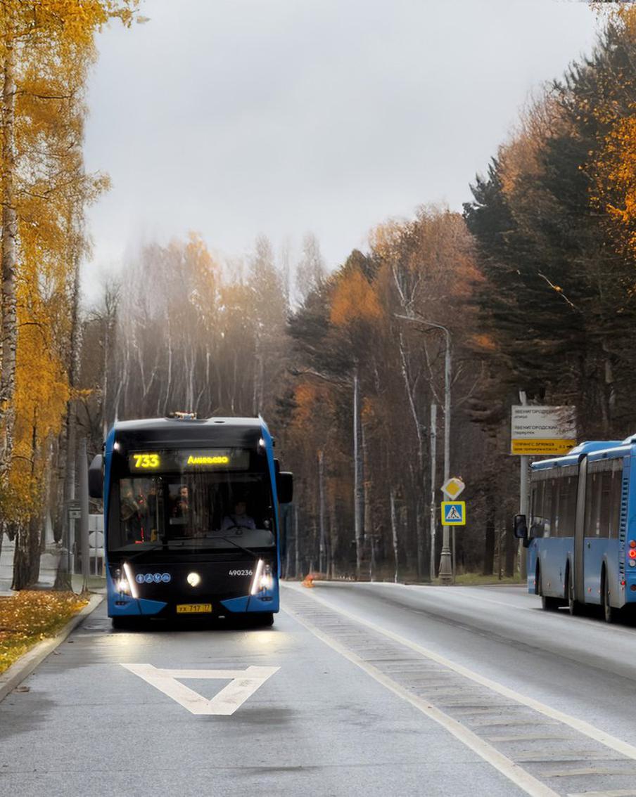 Новые выделенные полосы начнут работать в Москве с 20 декабря