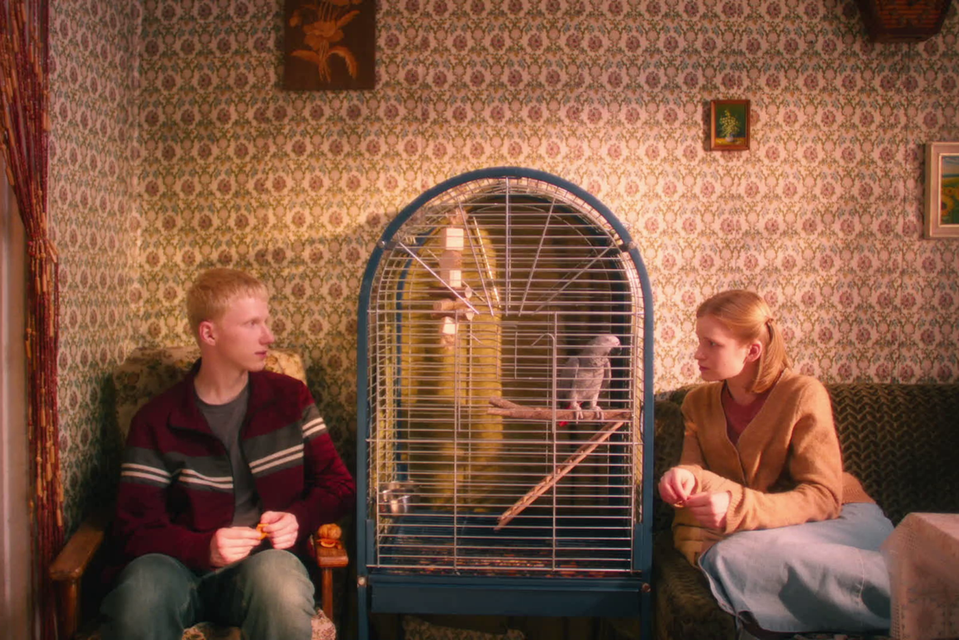 Кадр из фильма "Мальчик-птица".