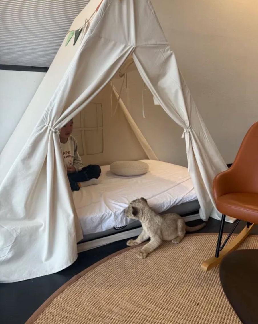 Сиджи в гостях у очередных маленьких постояльцев.