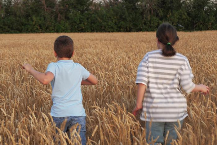 В России подсчитали число пропавших детей за 2025 год