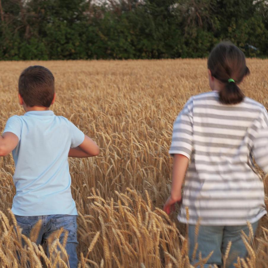 На территории России за год пропали почти 900 детей. С января по ноябрь 2025 года в стране зафиксировано 885 случаев исчезновения детей, при этом более двадцати несовершеннолетних погибли, а десятки остаются в розыске, сообщает команда приложения "Где мои дети"