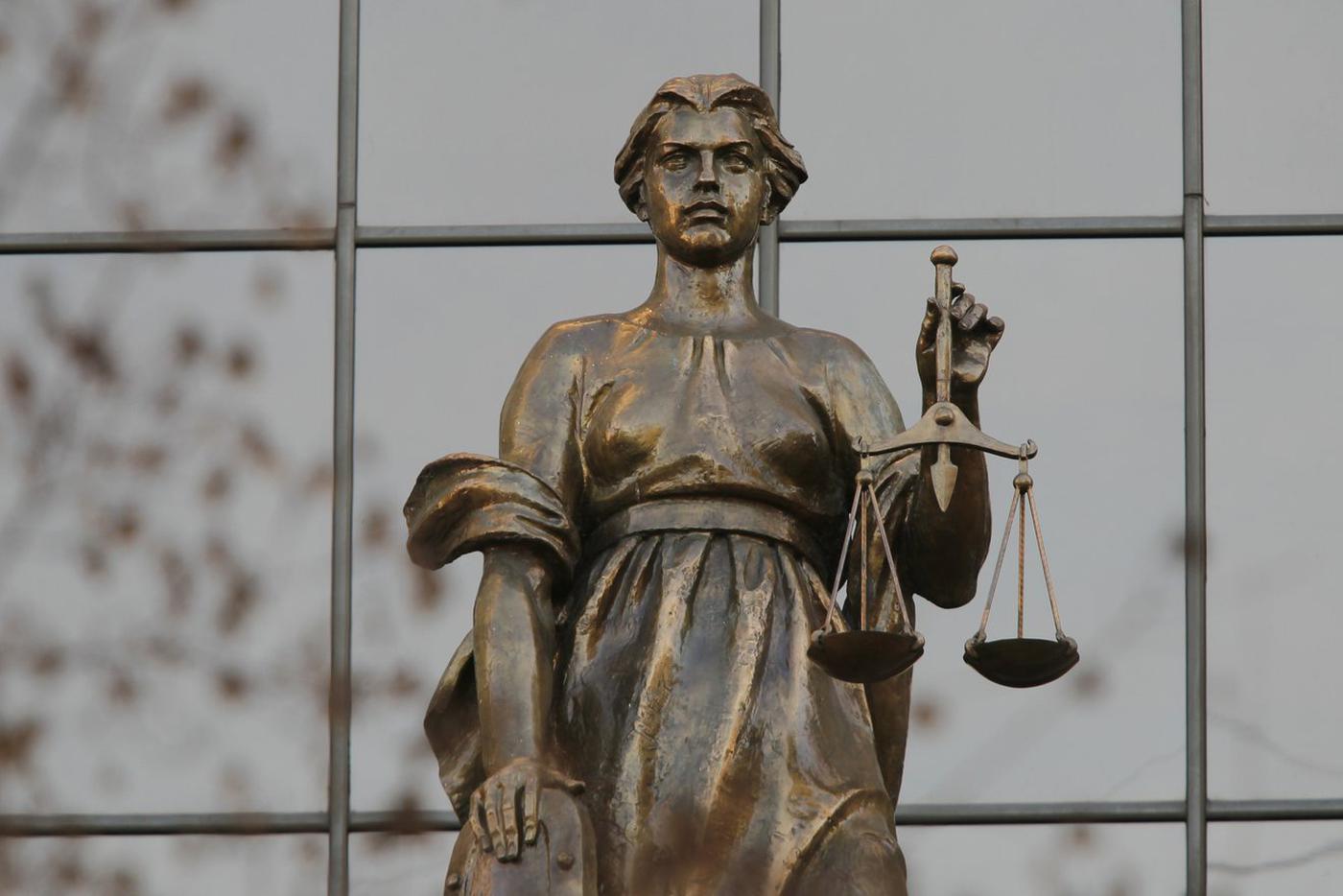 Верховный суд РФ изучит дело о квартире Долиной после жалобы покупательницы