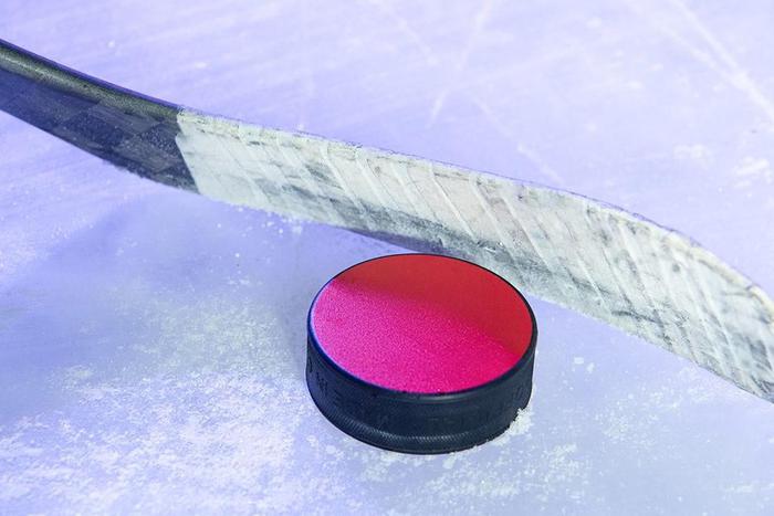 5 декабря на катке имени Харламова состоится мастер-класс от звезд хоккея