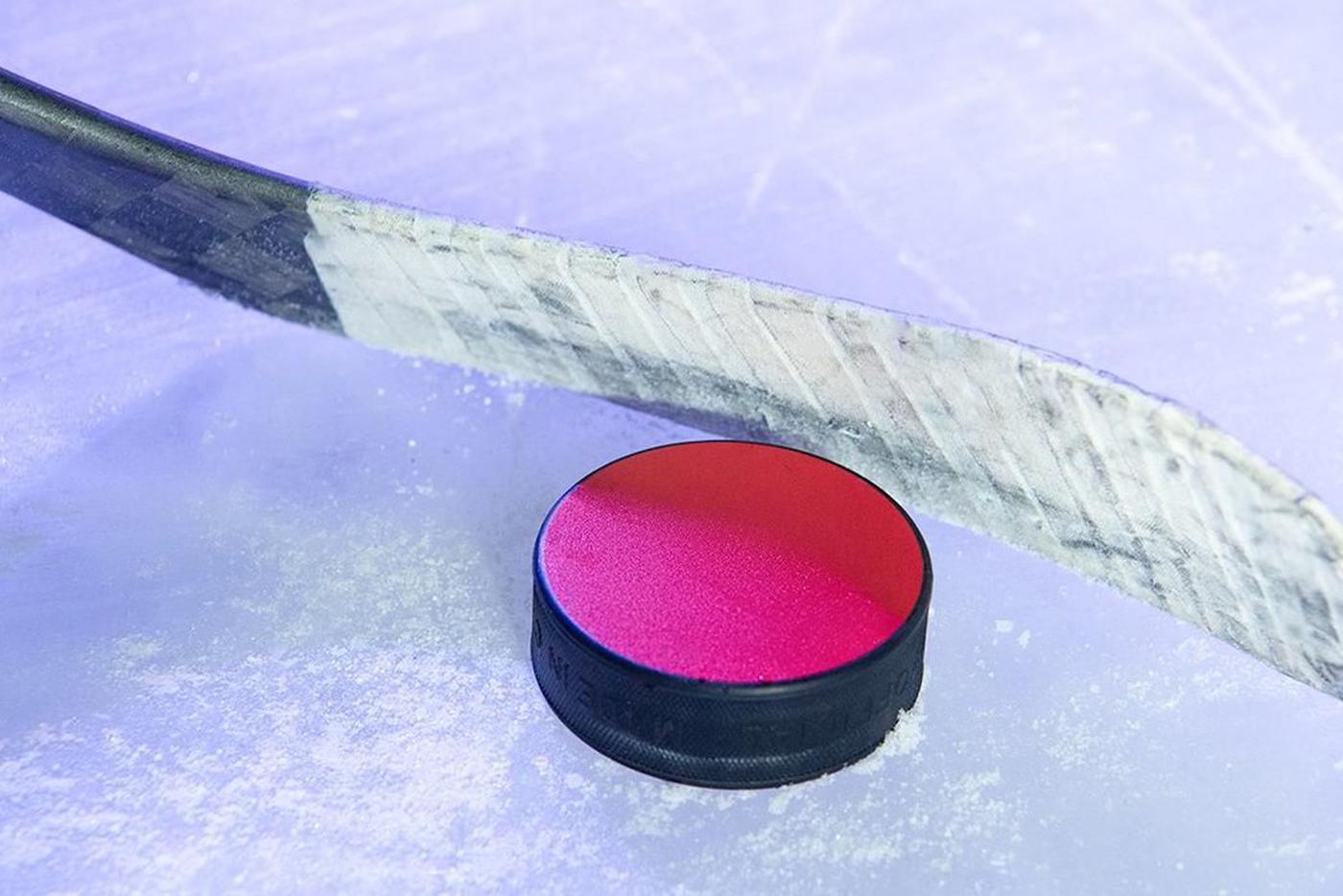 Хоккейный мастер-класс пройдет на катке имени Валерия Харламова в Тимирязевском