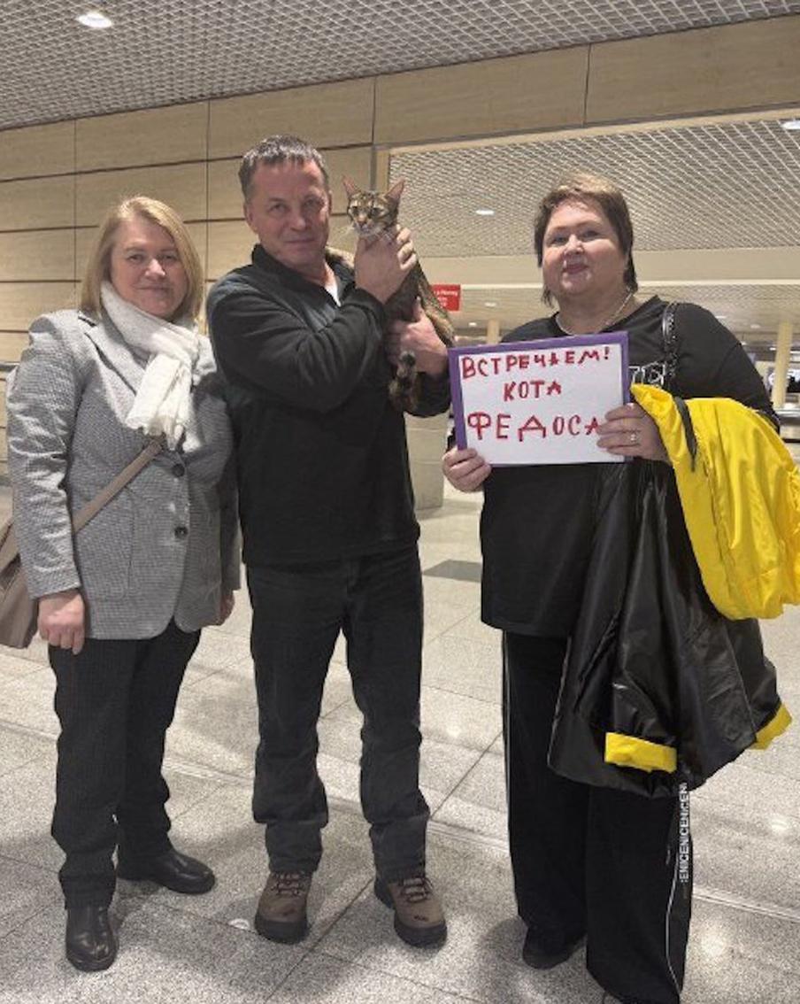 6000 километров пути: потерявшийся кот в одиночку проехал пол-России и вернулся домой