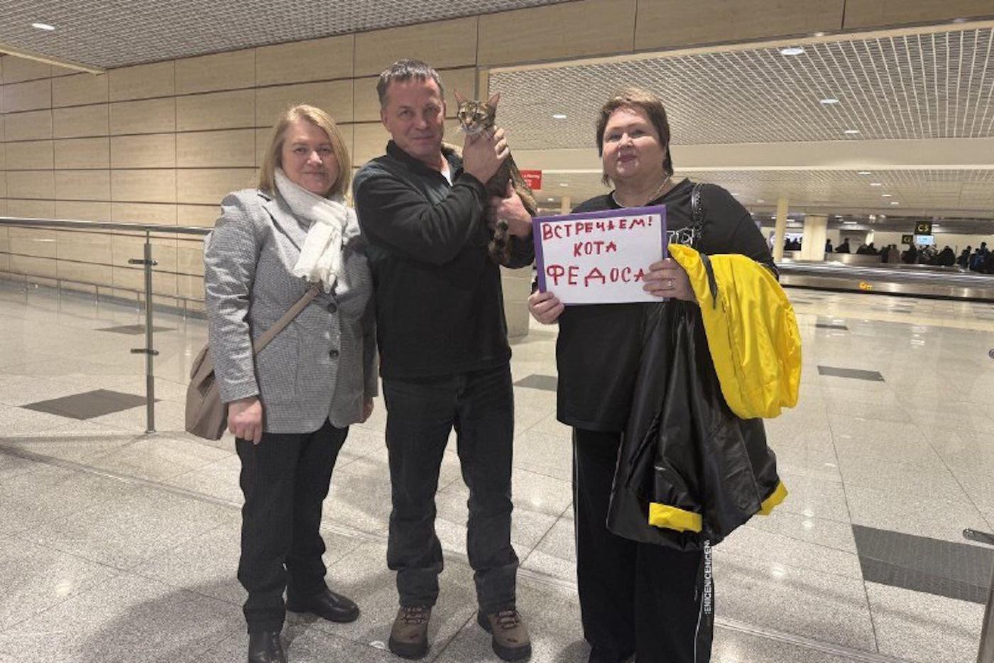 Путешествие, достойное экранизации: потерявшийся кот Федос проехал пол-России