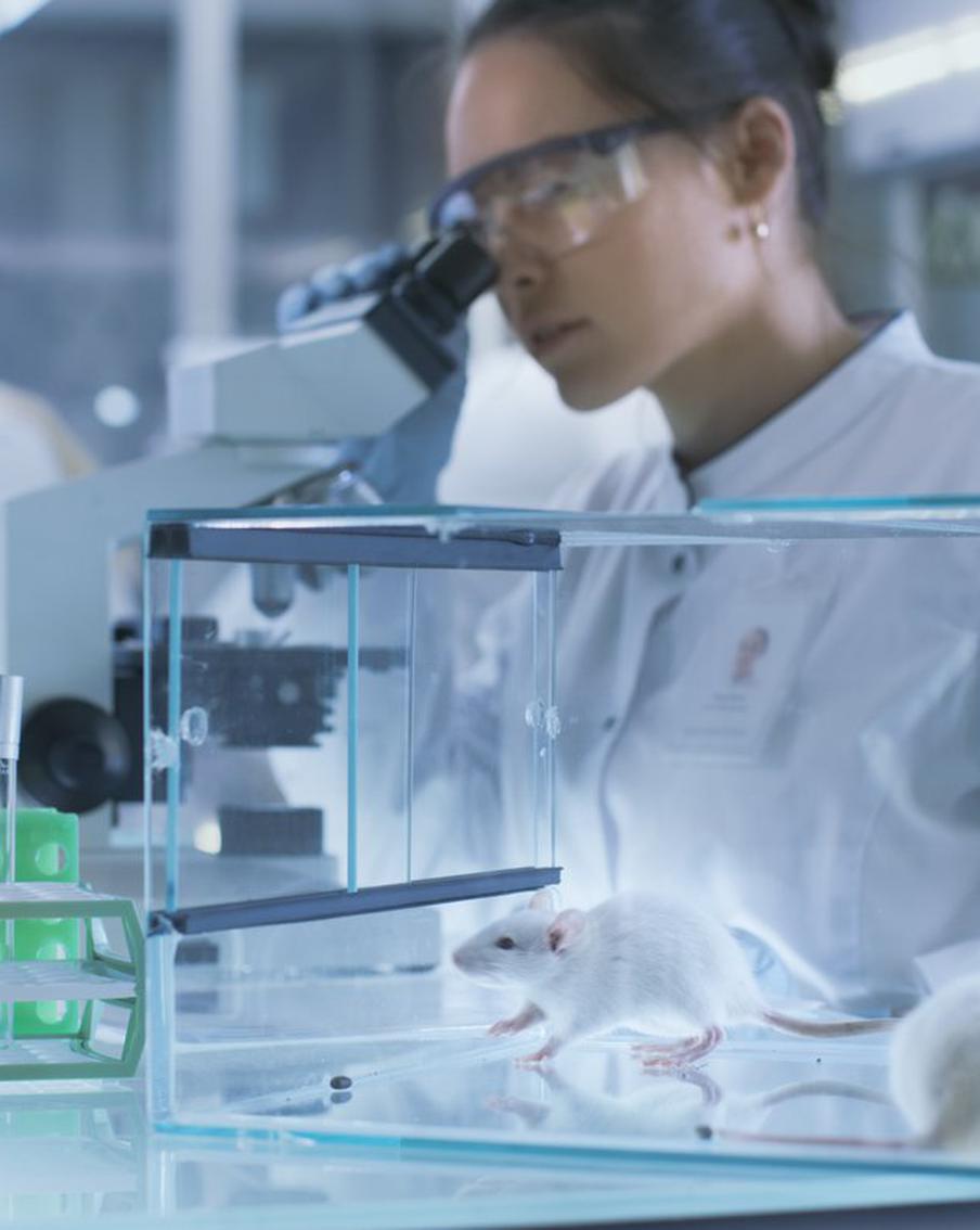 Учёные объявили о появлении вакцины против смерти – пока помолодели мыши