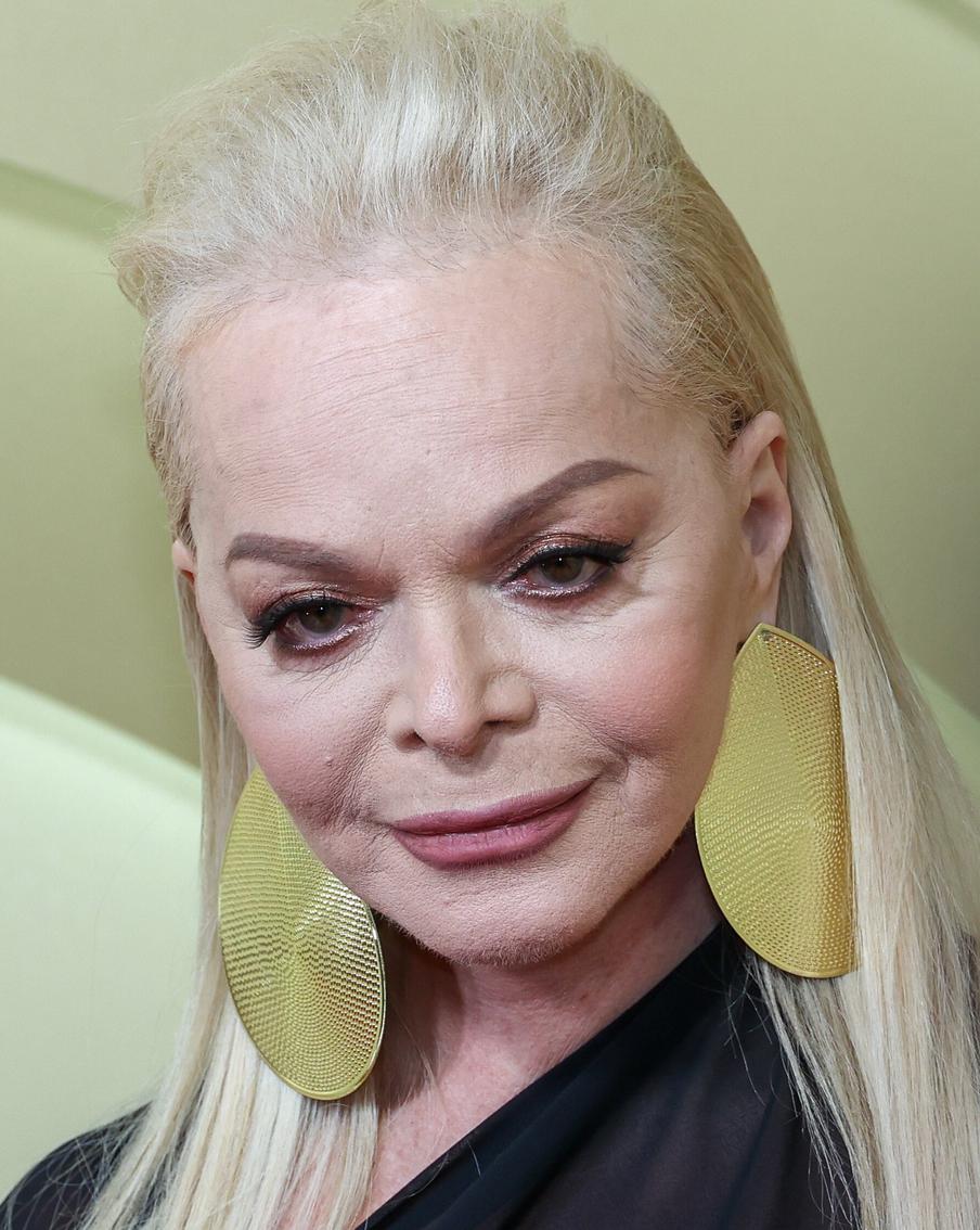 Певица Лариса Долина показала паспорт обманувшего её мошенника в прямом эфире. Российская народная артистка Лариса Долина впервые показала паспорт обманувшего её ложного сотрудника Росфинмониторинга. На фотографии мошенник очень похож на американского актёра Тома Холланда