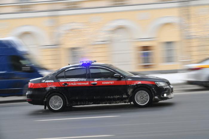 Бастрыкин поручил доложить о деле бойца ММА, устроившего спарринг с памятником