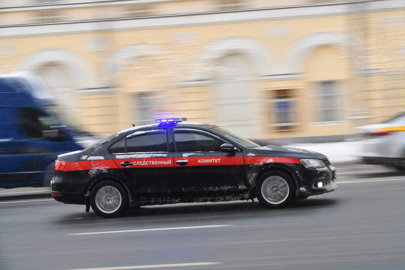 Бастрыкин поручил доложить о деле бойца ММА, устроившего спарринг с памятником