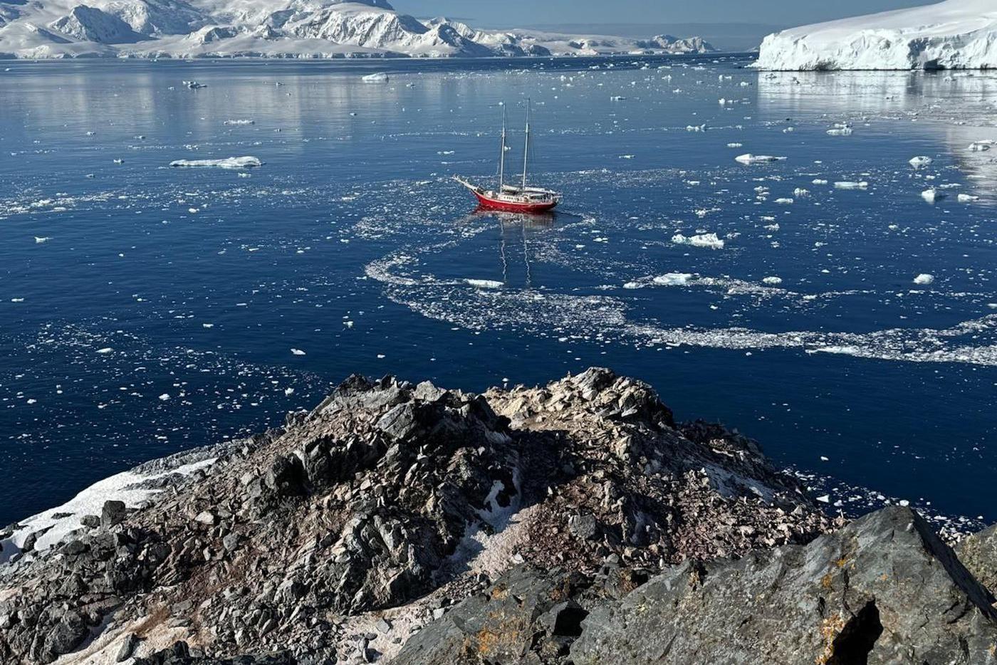Призраки, ледяное крещение и возвращение забытых имён: завершилась экспедиция "Русская Антарктика – под созвездием Южного Креста"
