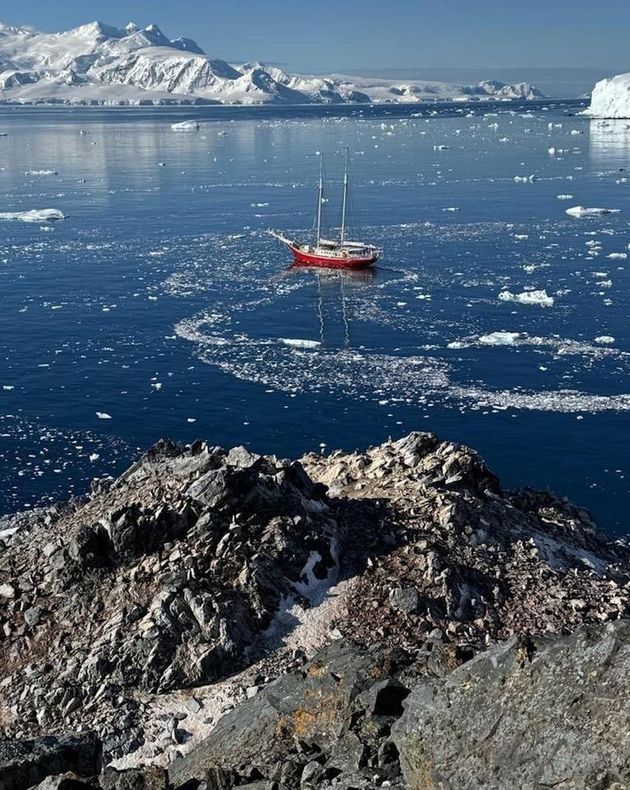 Призраки, ледяное крещение и возвращение забытых имён: завершилась экспедиция "Русская Антарктика – под созвездием Южного Креста"
