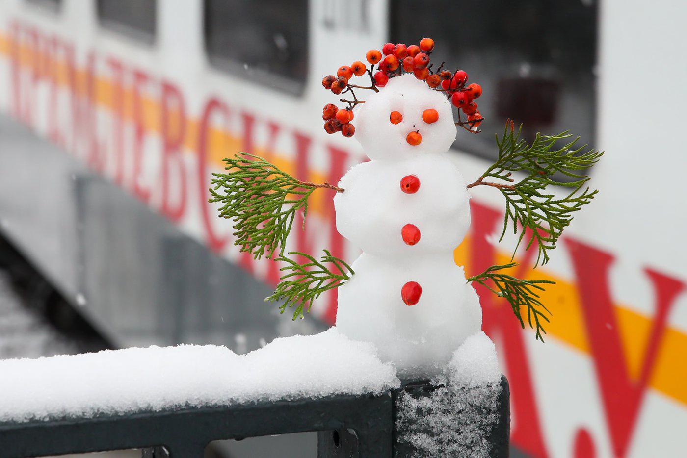 Жителей Москвы предупредили о ветре и гололедице 13 декабря