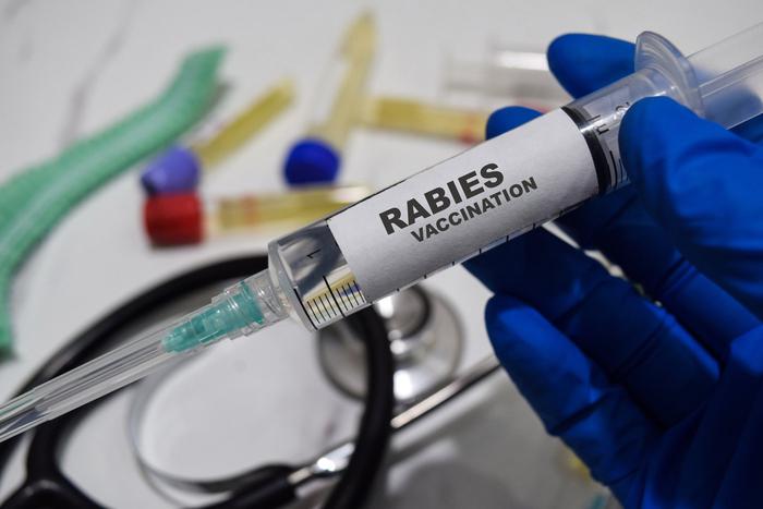 Как доноры спермы и органов передали сотням людей рак и бешенство