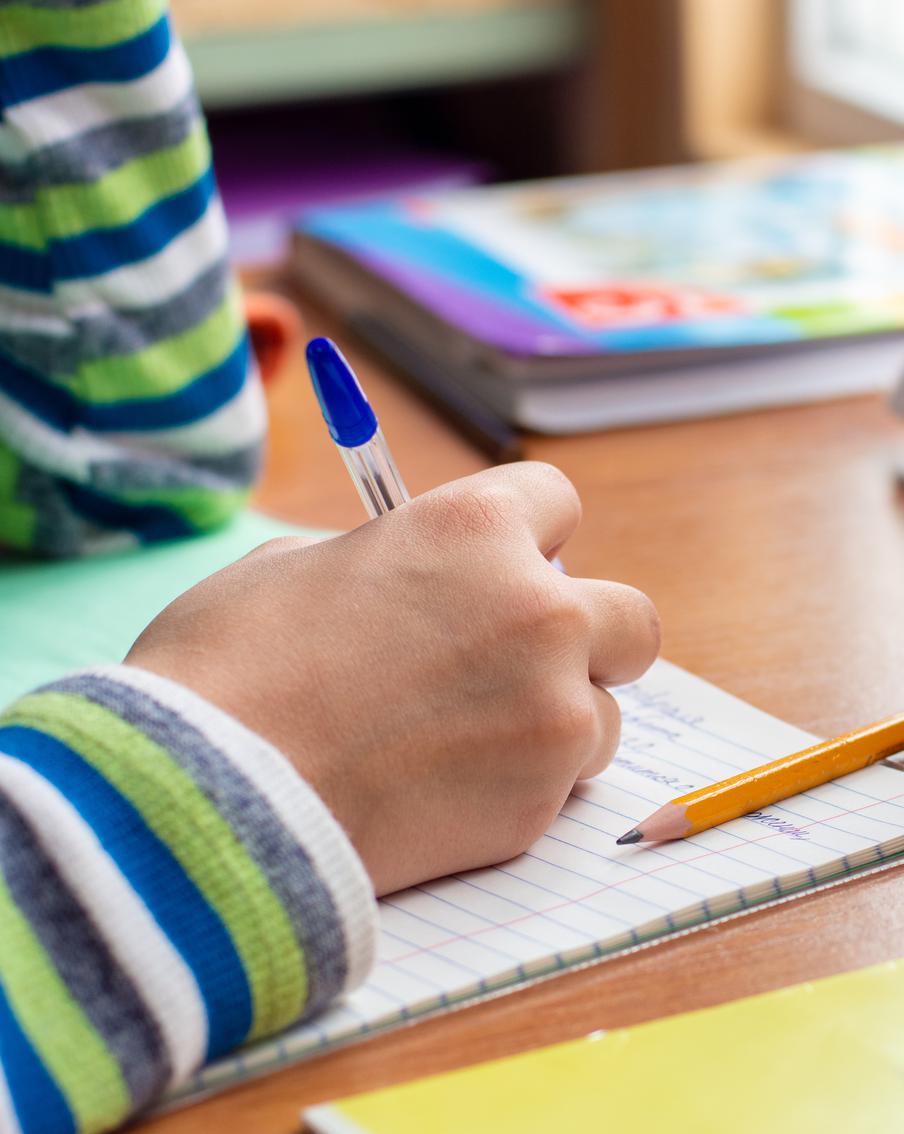 Минпросвещения России рекомендовало школам провести зимние каникулы в новогодние праздники