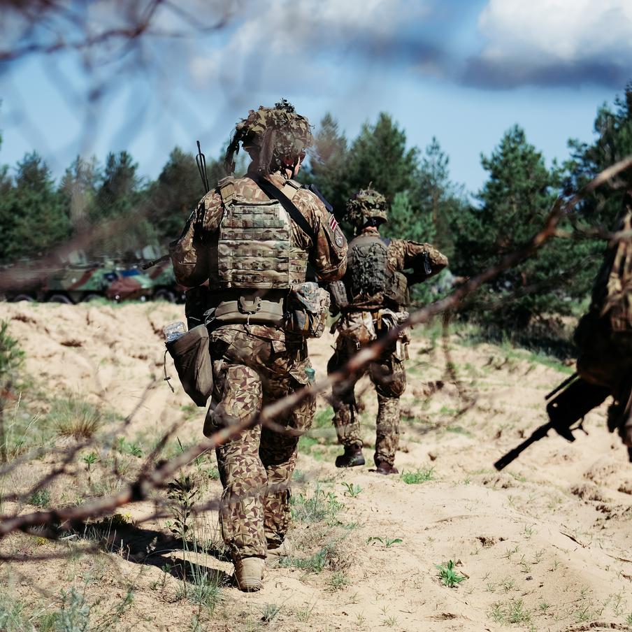 Германия и Польша возведут оборонительные сооружения на границе с Россией. Военные двух стран – участниц НАТО планируют начать совместные работы по возведению оборонительных укреплений на границе с Калининградской областью и Белоруссией уже весной 2026 года