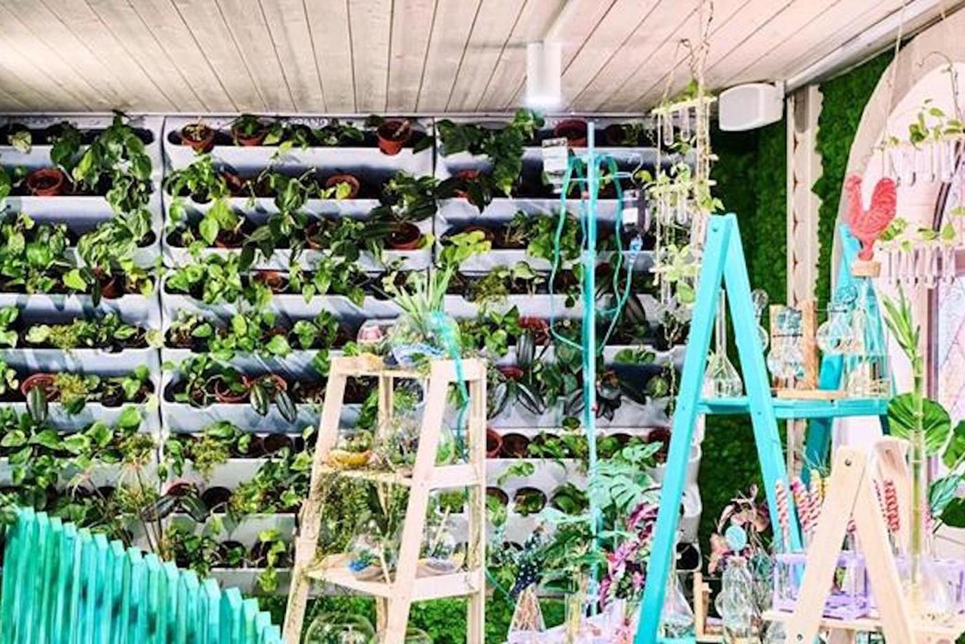 Таким может стать ваш флорариум.