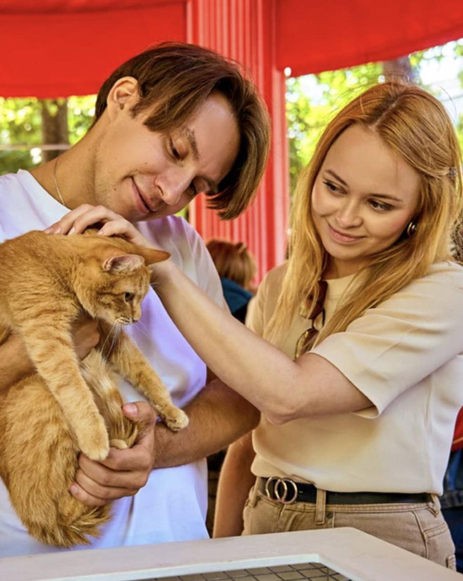 Сервис "Моспитомец" помог десяткам кошек и собак обрести новый дом