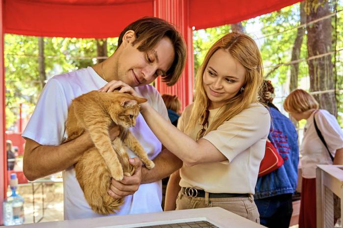 Сервис "Моспитомец" помог десяткам кошек и собак обрести новый дом