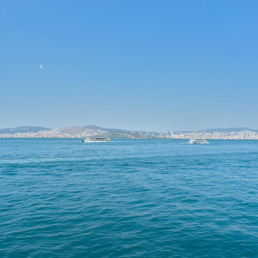 Мраморное море у берегов Турции внезапно отступило на 20 метров. Необычное природное явление зафиксировали на западе Турции. Вода резко отошла от берега, образовав песчаные участки и вызвав тревогу среди местных жителей